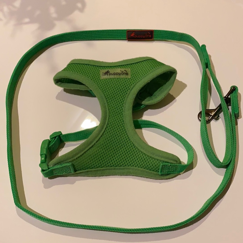 Puppyone Harness and Leash